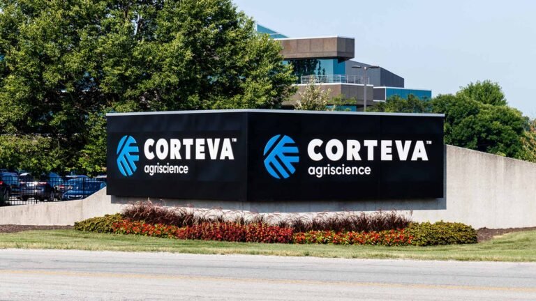 Corteva Agriscience lança híbrido tolerante ao pulgão para a cultura do sorgo na próxima safra