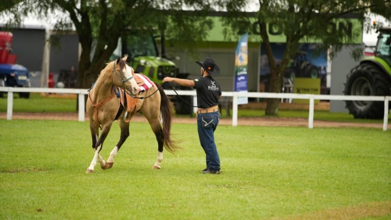 Pecuária da Tecnoshow 2026 aposta em tecnologia, prática no campo e tradição rural para atrair produtores e visitantes