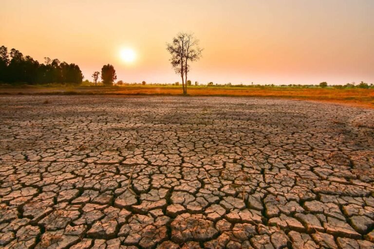 El Niño mais forte em uma década ameaça colheitas globais