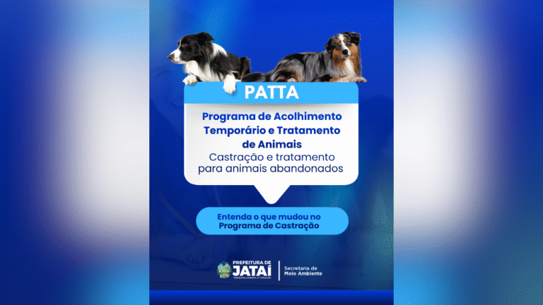 Jataí lança programa inédito e passa a oferecer atendimento veterinário gratuito para animais vítimas de maus-tratos e em situação de rua