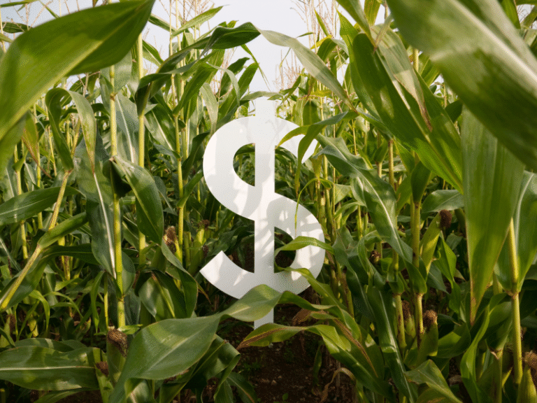 Governo lança Plano Safra recorde de R$ 525 bilhões e corta juros para impulsionar o agronegócio