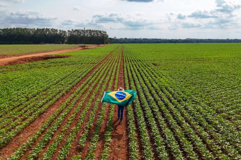 Brasil encosta nos EUA e pode assumir posto de maior exportador agrícola do mundo ainda em 2026