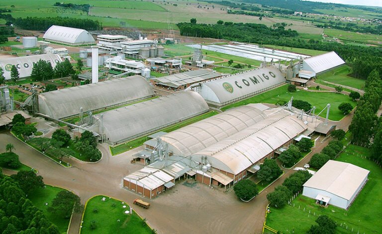 Cooperativa Comigo fatura R$ 14 bilhões e supera hoje o que gigante Cimed quer alcançar só em 2030